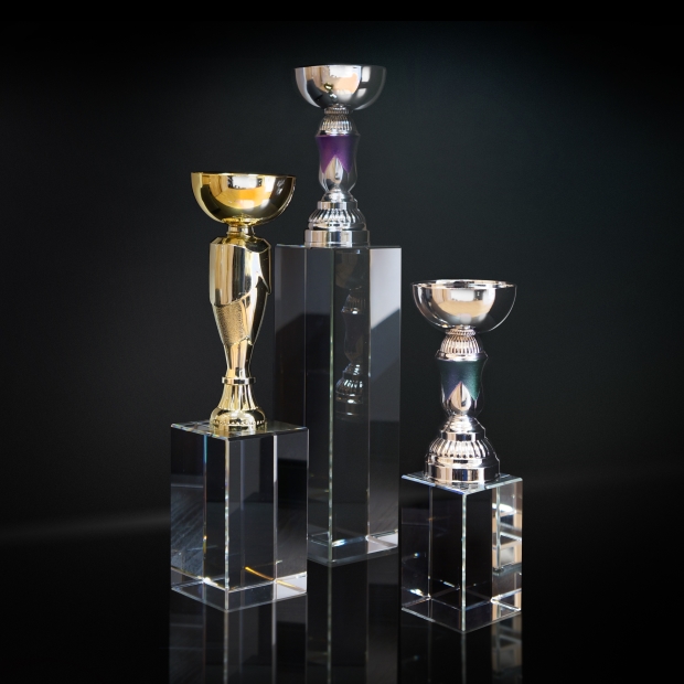 sporto_apdovanojimai